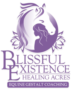 Blissful Existence Healing Acres Invites you to Rediscover Your Authentic Self